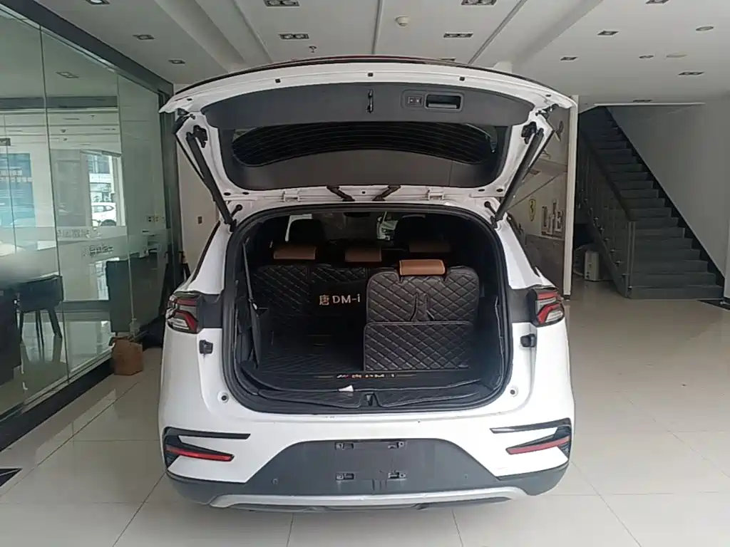 BYD Tang New Energy — миниатюра 19