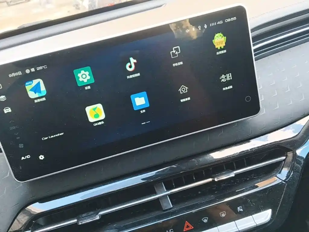 Haval Chitu — миниатюра 13