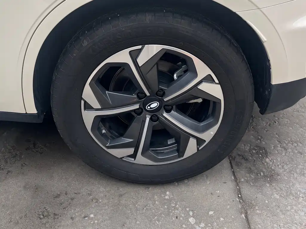 Ora Ora 5 EV — миниатюра 7