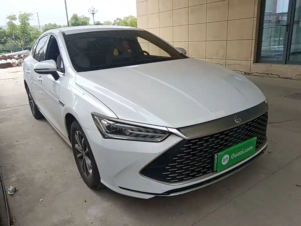 BYD Qin Plus PLUS 2023 Champion DM-i 55KM Lead