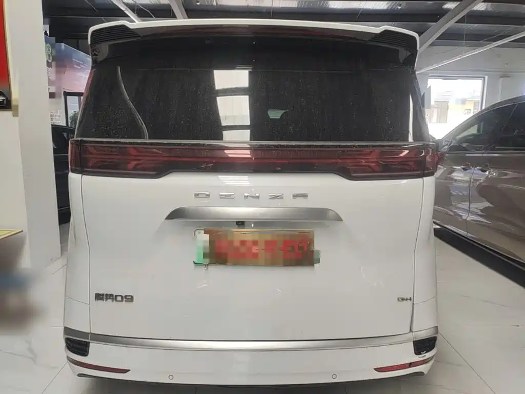 Denza Denza D9 — миниатюра 6