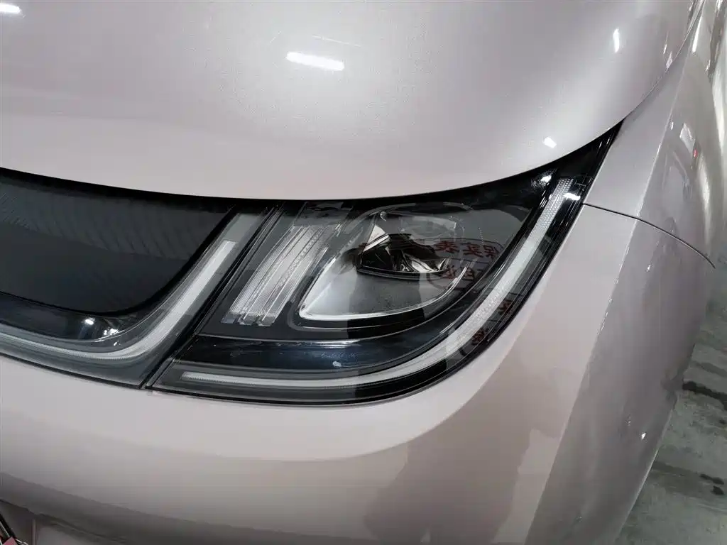 BYD Dolphin 2021 405km Fashion