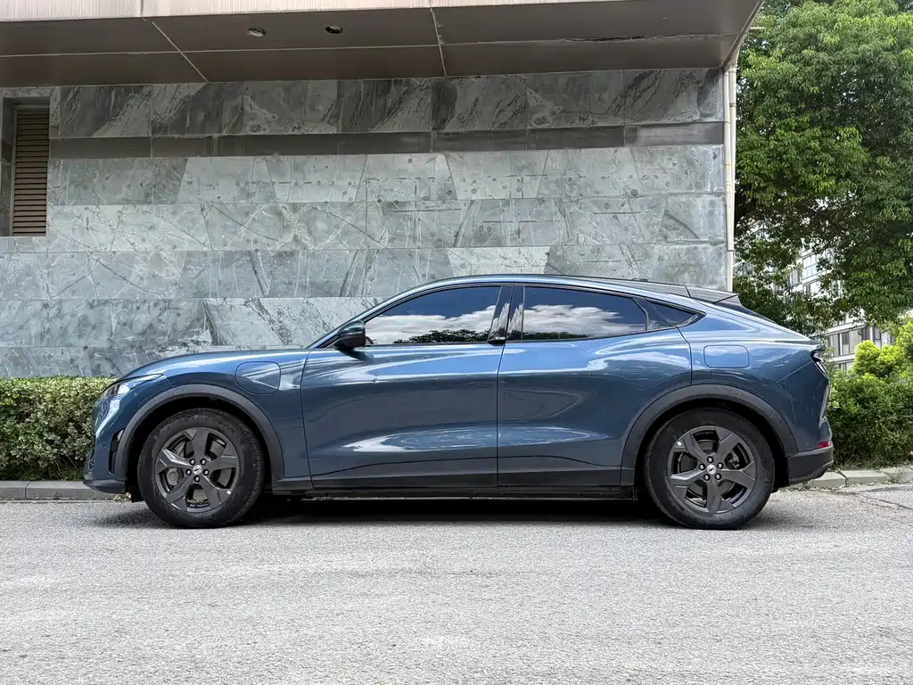 Ford Mustang Mach-E — миниатюра 7