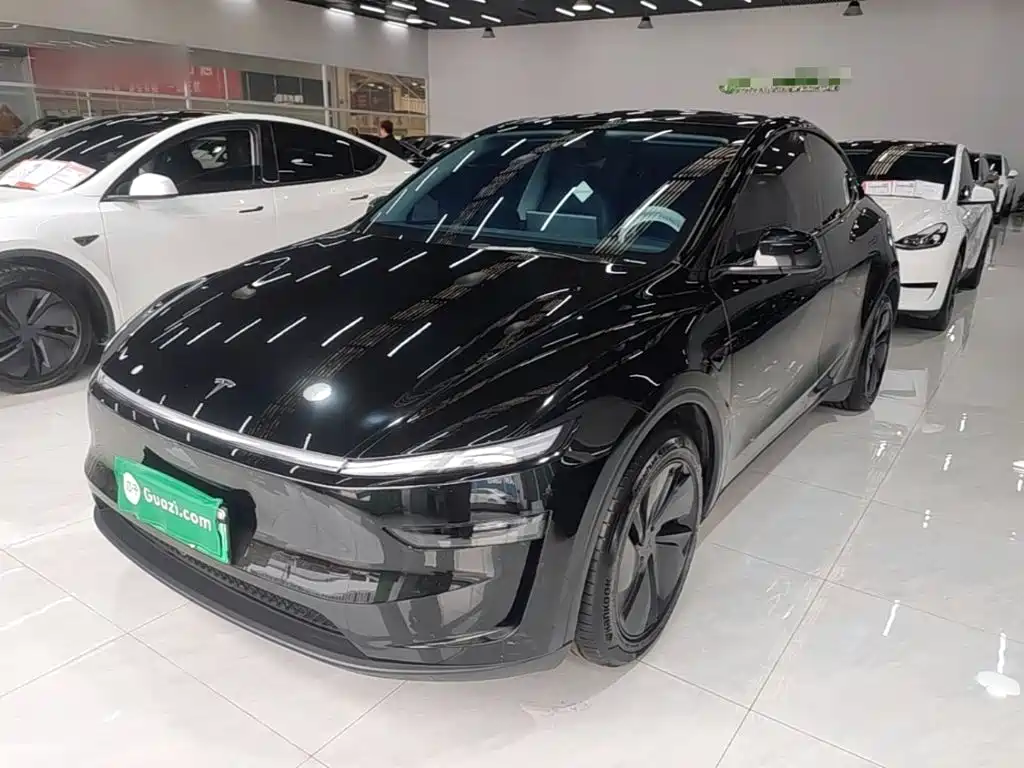 Tesla Model Y — миниатюра 2