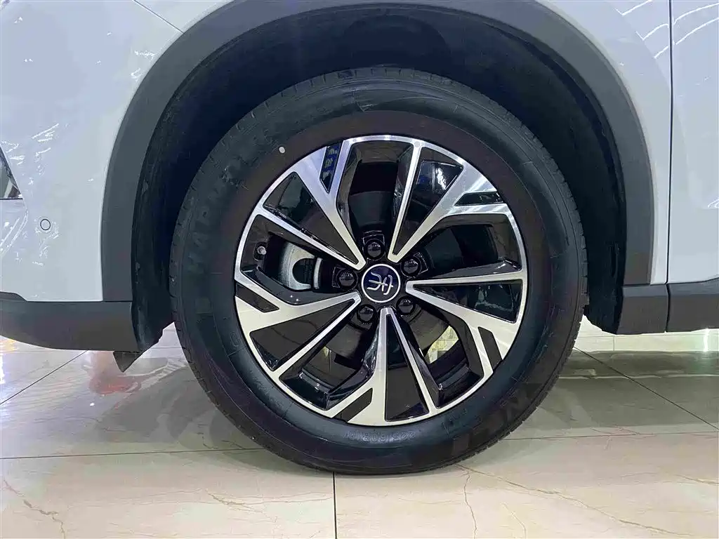 BYD Pro New Energy — миниатюра 5