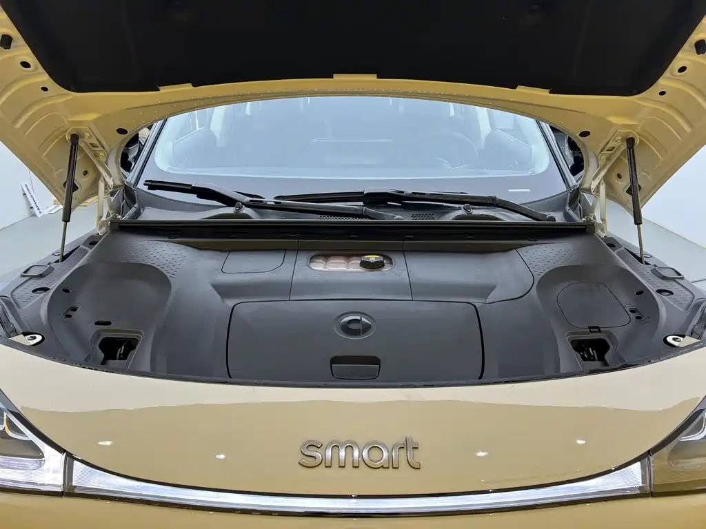 smart Smart #1 — миниатюра 10