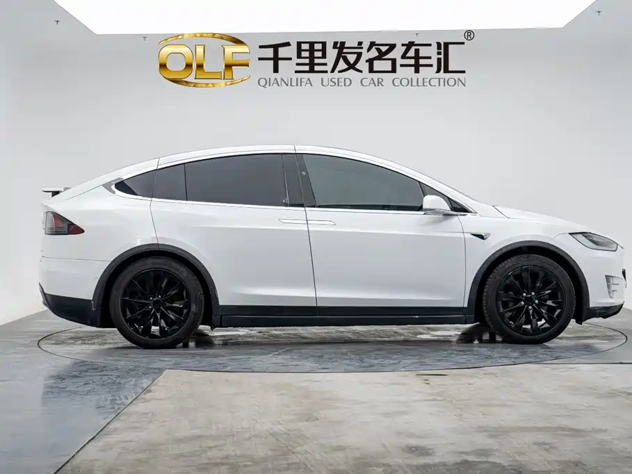 Tesla Model X — миниатюра 6