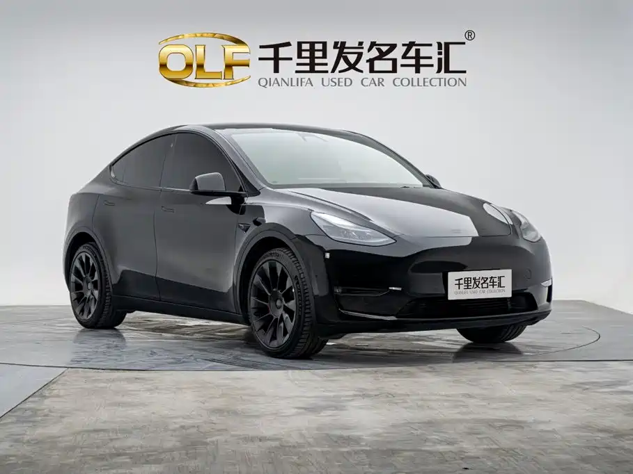 Tesla Model Y — миниатюра 6