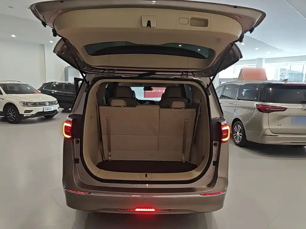 Buick GL8 — миниатюра 19