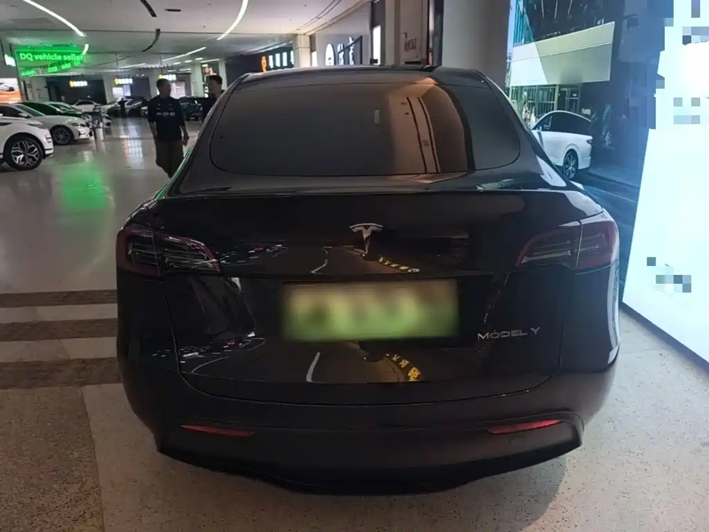 Tesla Model Y — миниатюра 6