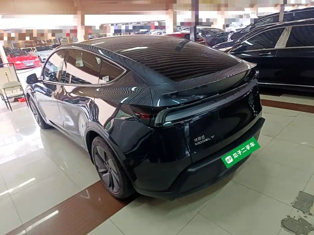 Tesla Model Y — миниатюра 5