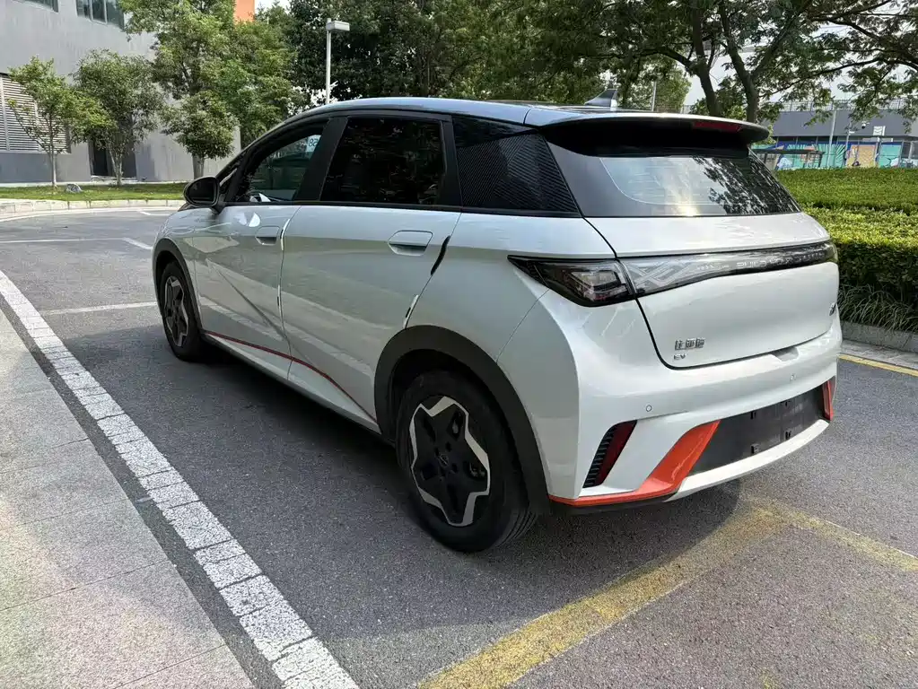 BYD Dolphin 2021 405km Freedom