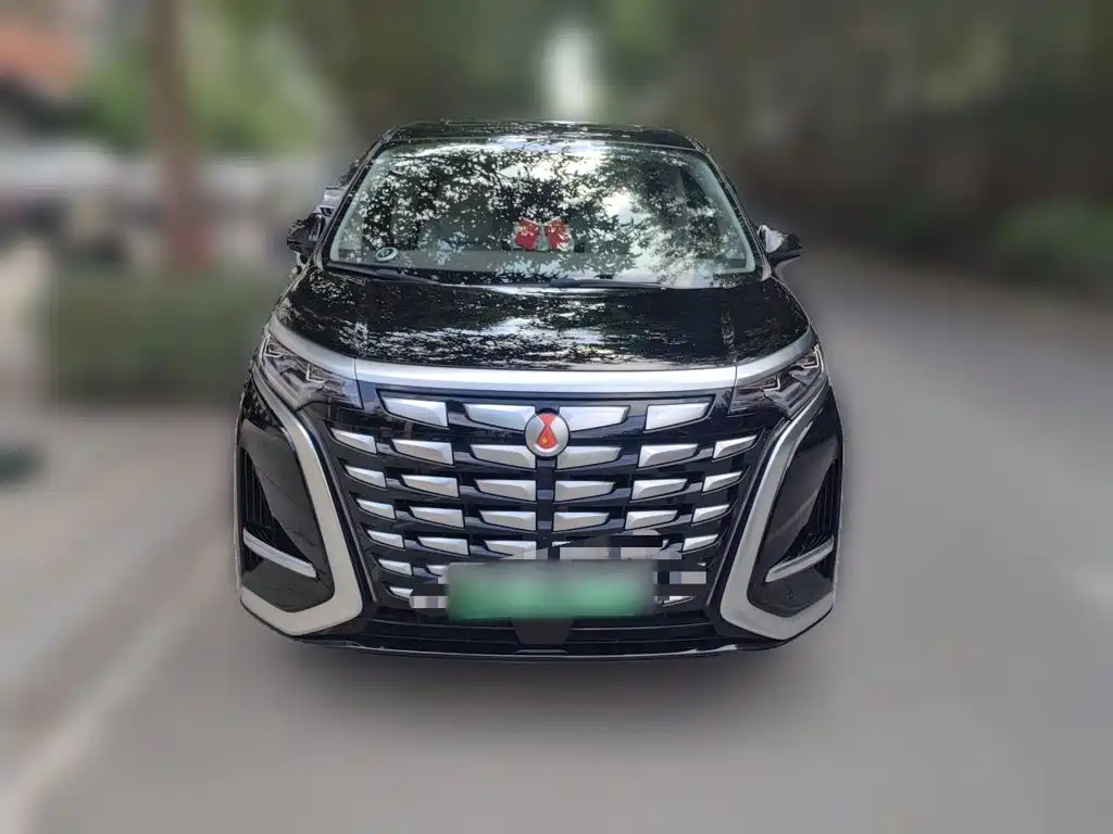 Denza Denza D9 — миниатюра 3