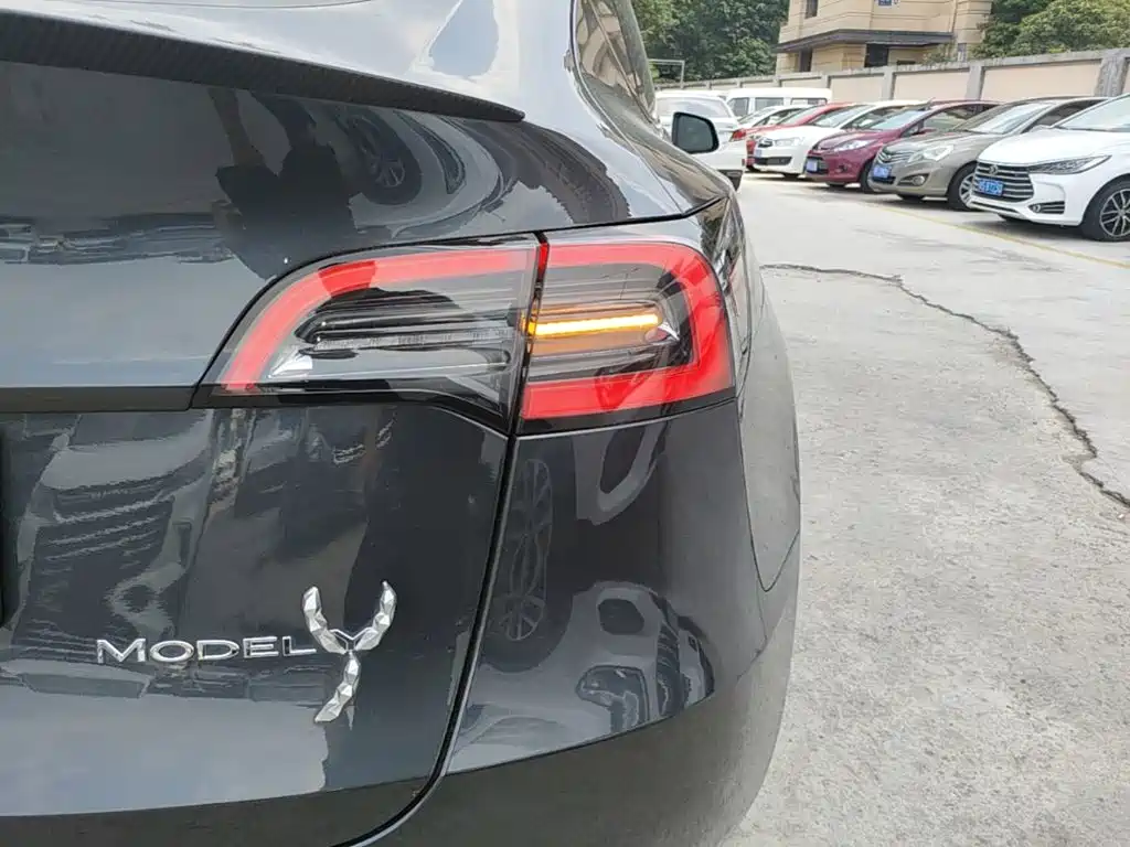 Tesla Model Y — миниатюра 8