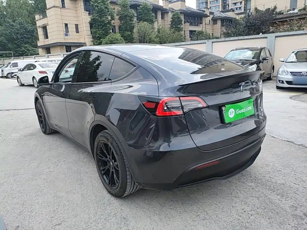 Tesla Model Y — миниатюра 5