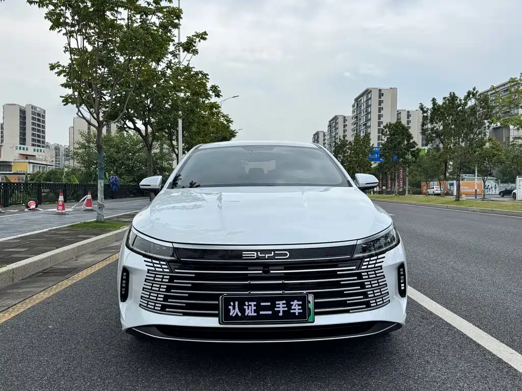 BYD Destroyer 05 - фото 2