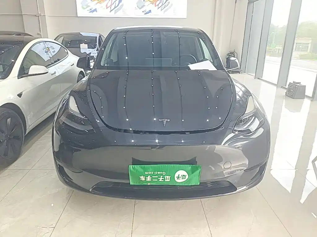 Tesla Model Y — миниатюра 3
