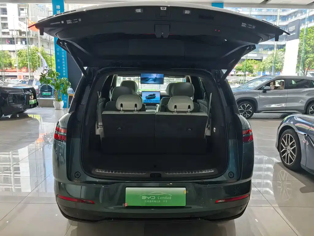 Denza Denza N8L — миниатюра 6