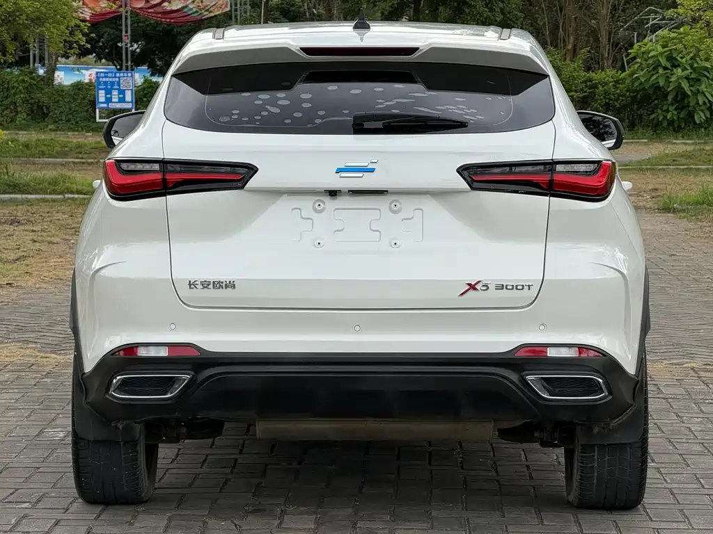 Oshan Oushang X5 — миниатюра 9