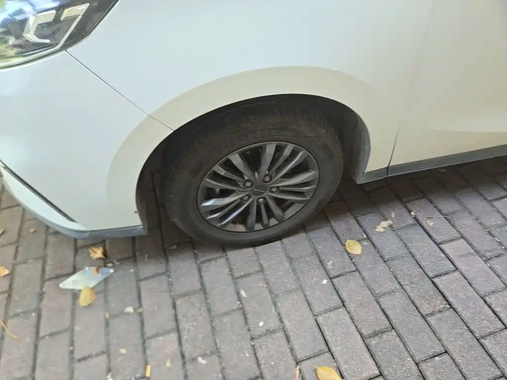 MAXUS G50 — миниатюра 23