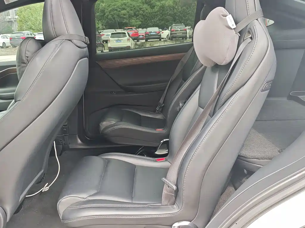 Tesla Model X — миниатюра 7