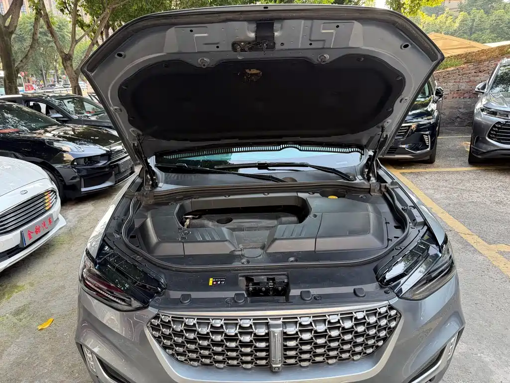 Wey Wey VV6 — миниатюра 15
