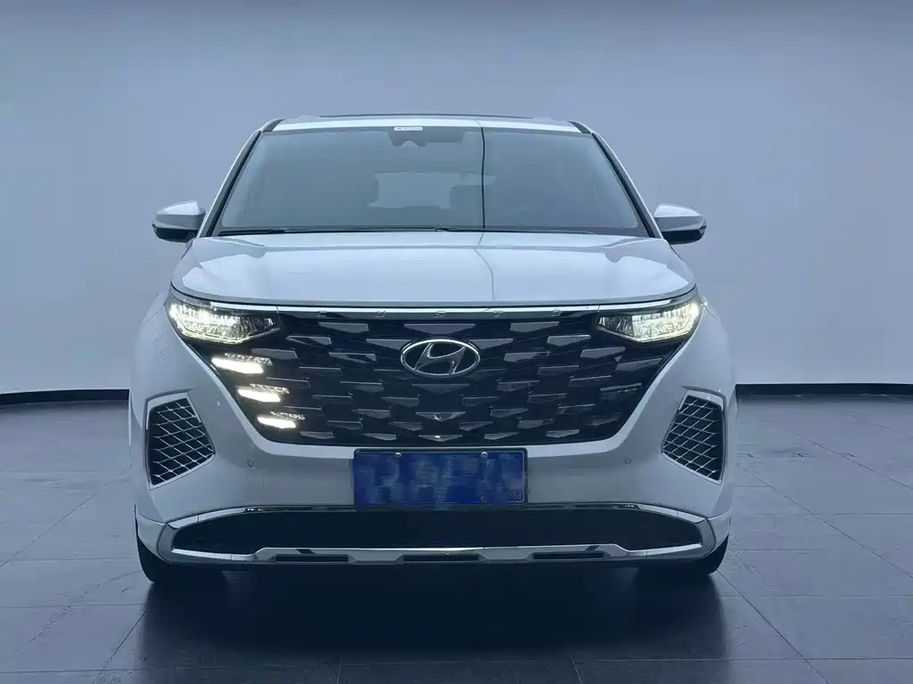 Hyundai Custo — миниатюра 2