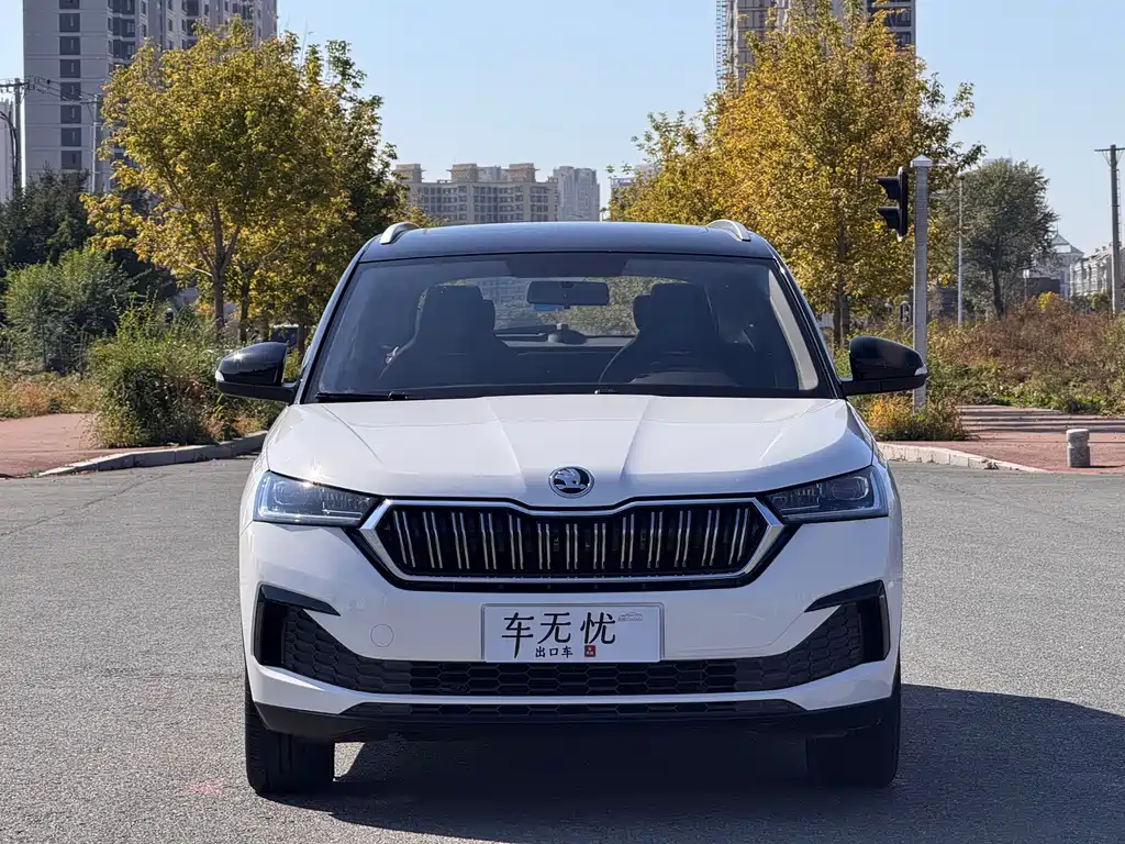 Skoda Kamiq — миниатюра 2