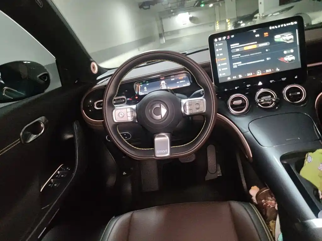 smart Smart #3 — миниатюра 11