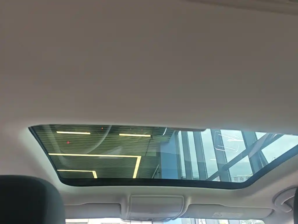 Volkswagen Lamando — миниатюра 18