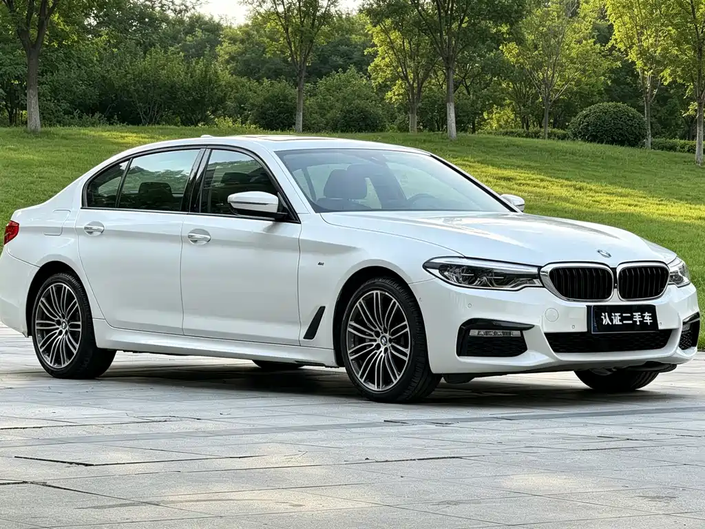 BMW 5 Series — миниатюра 3