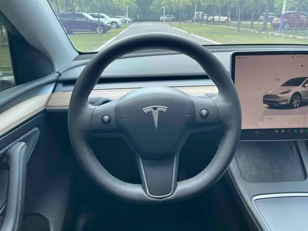 Tesla Model Y — миниатюра 17