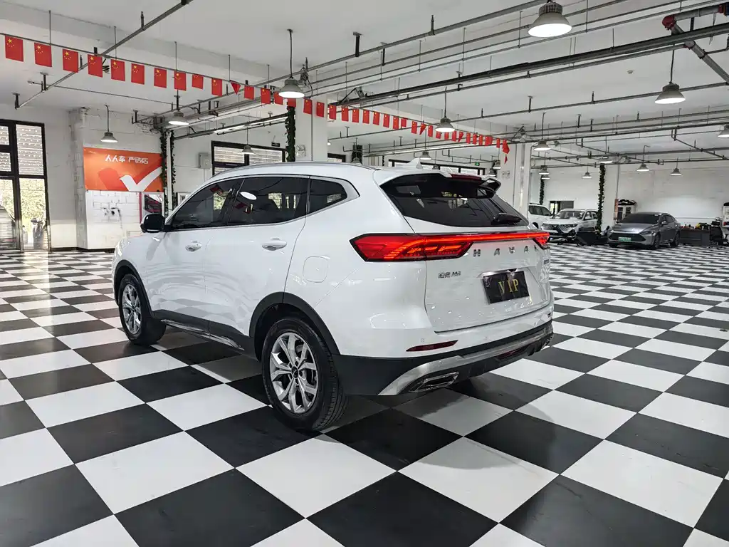 Haval H6 — миниатюра 7