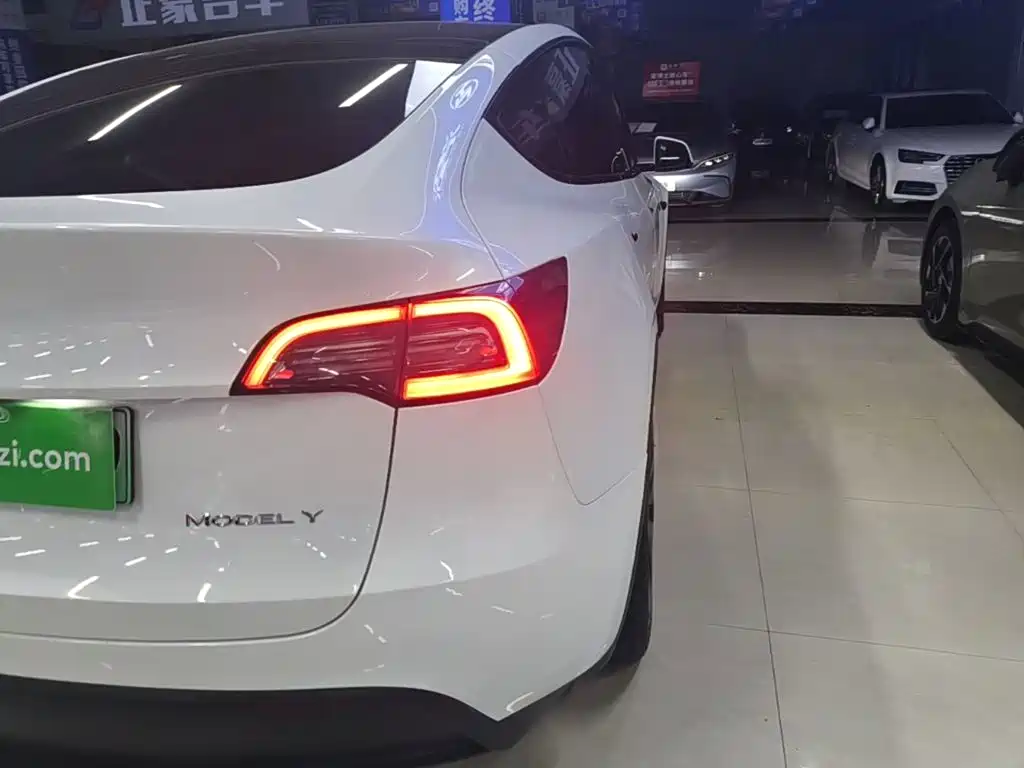 Tesla Model Y — миниатюра 8