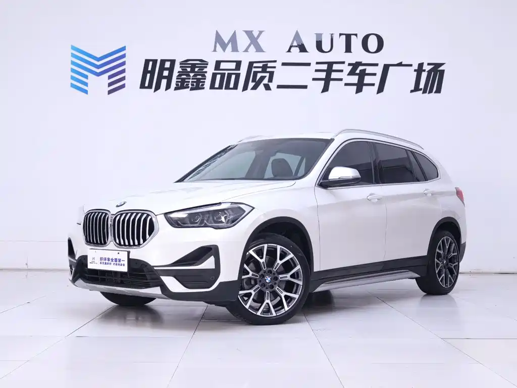 BMW X1 — миниатюра 2