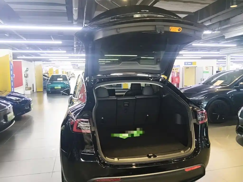 Tesla Model Y — миниатюра 19