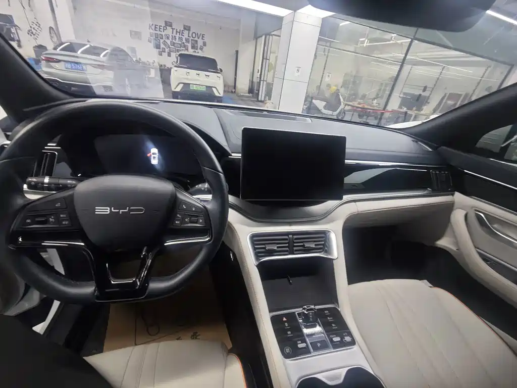 BYD PLUS New Energy — миниатюра 11