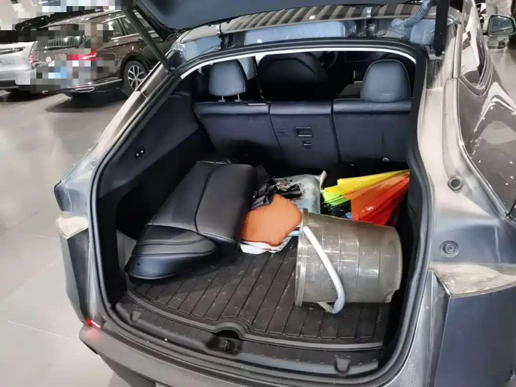 Tesla Model Y — миниатюра 19
