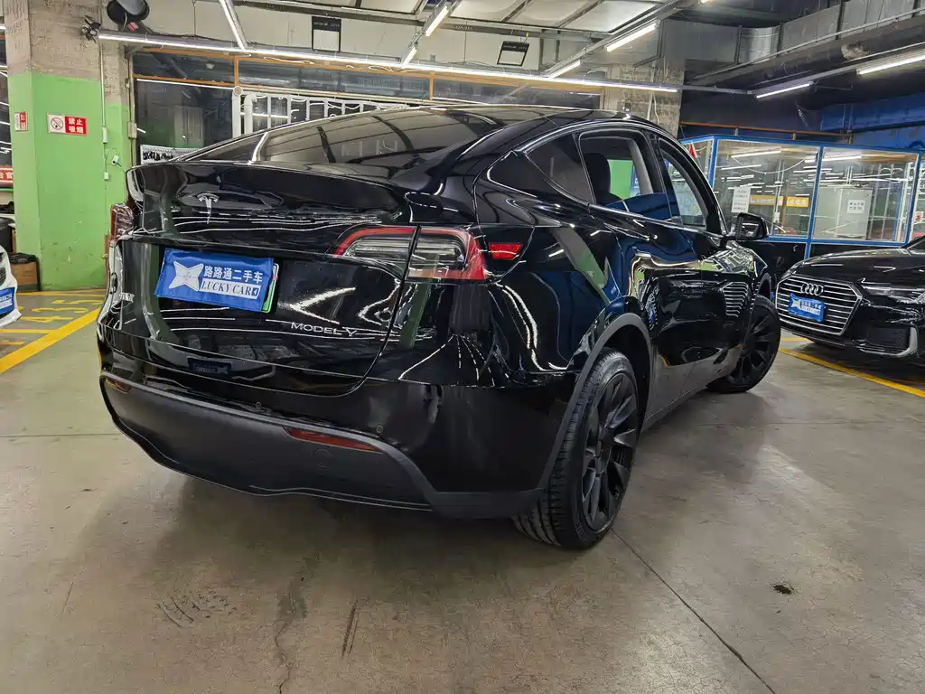 Tesla Model Y — миниатюра 6