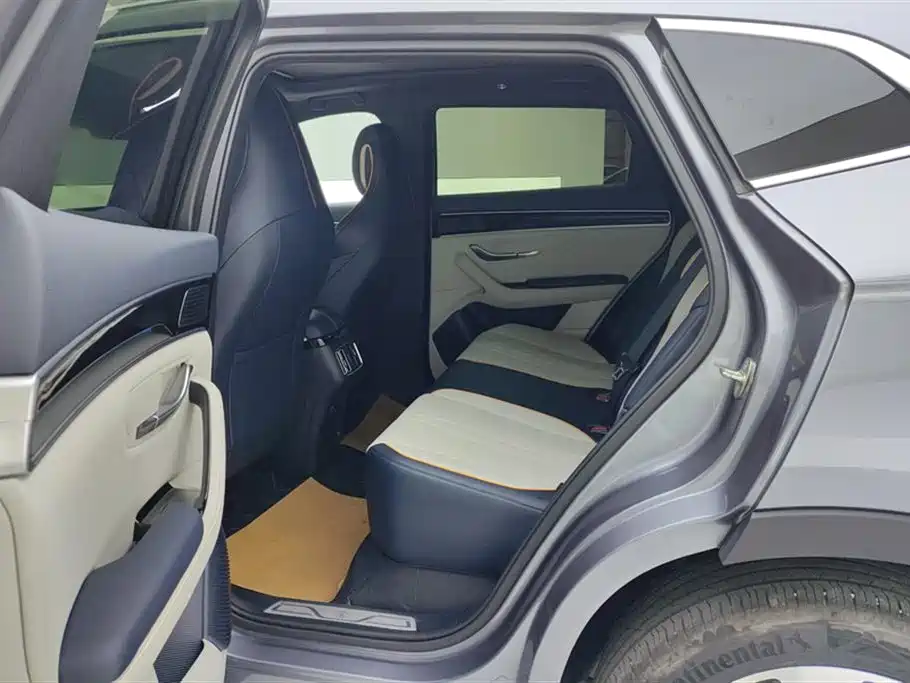 BYD SONGJIANG NEW ENERGY