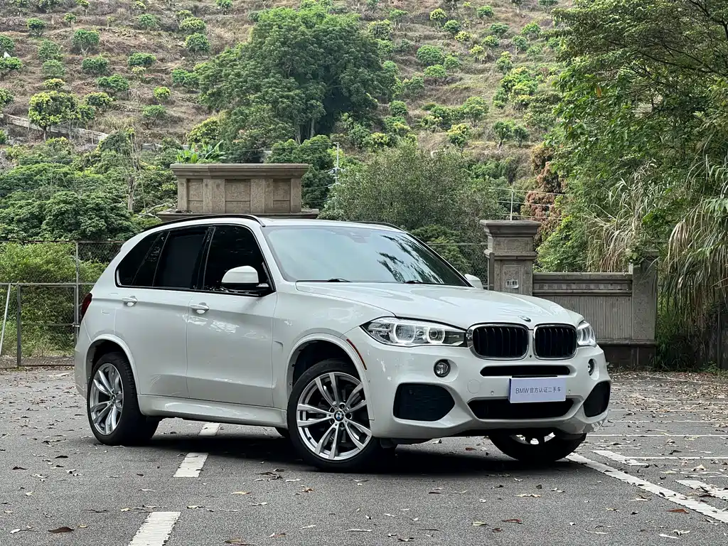 BMW X5 2018 xDrive35i M Sport Luxury