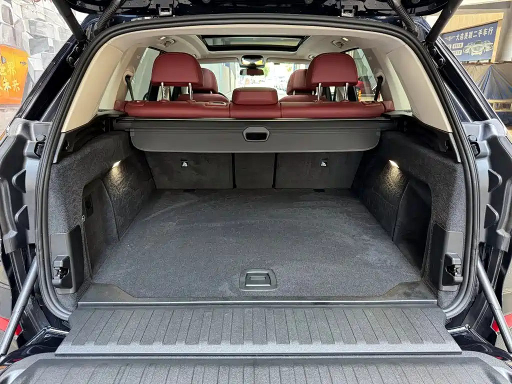 BMW X5 — миниатюра 8