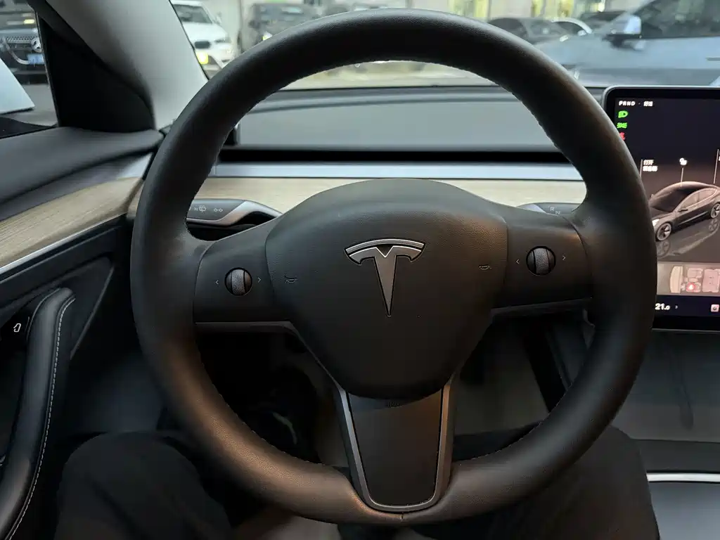 Tesla Model 3 — миниатюра 11