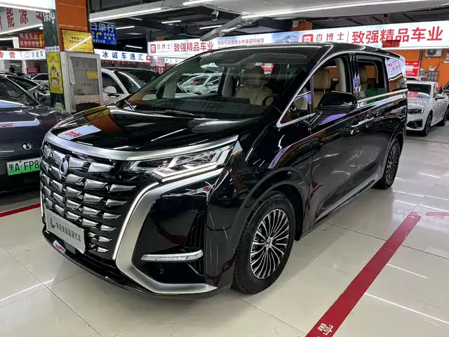 2024 Denza D9