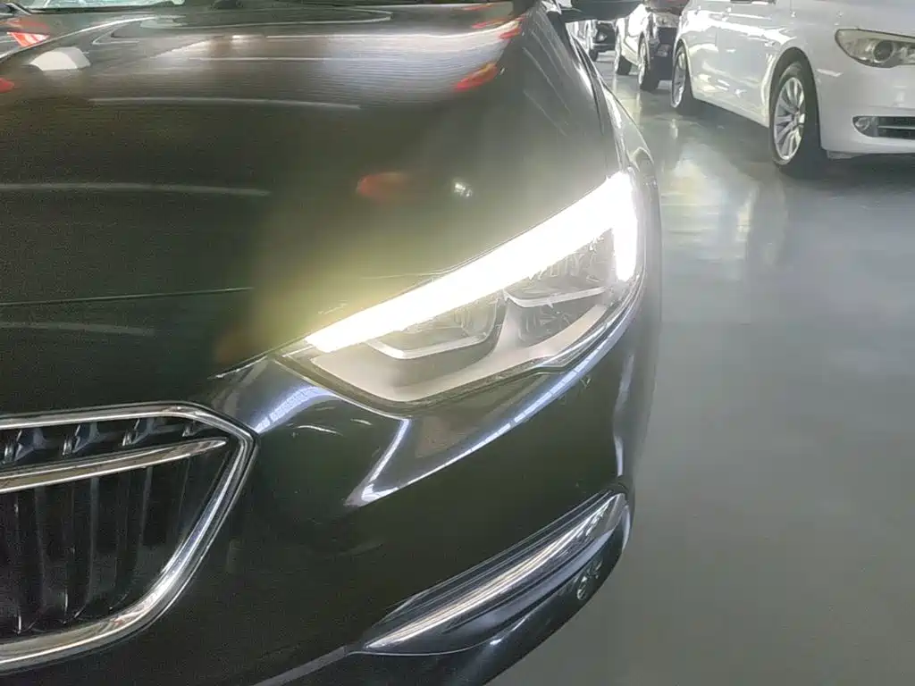 Buick Regal — миниатюра 24