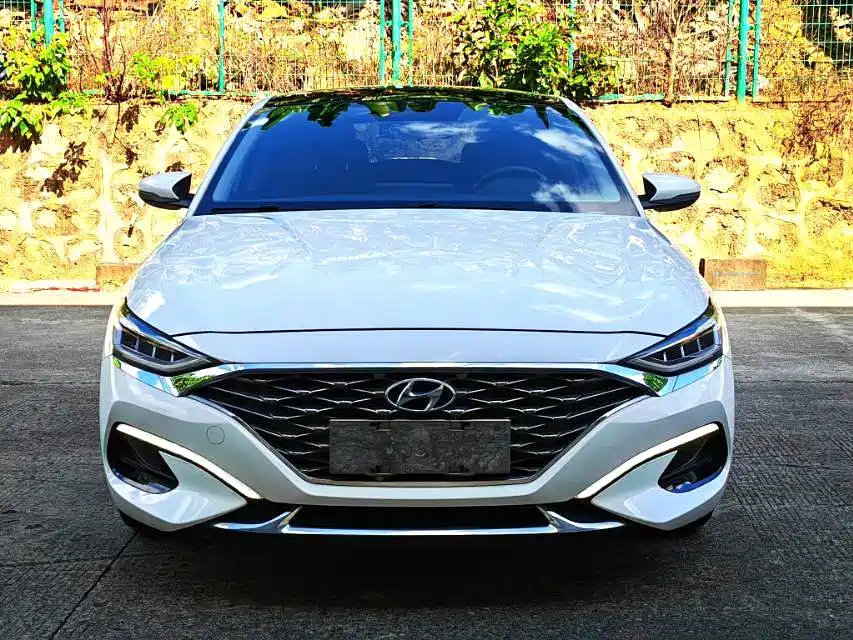 Hyundai Fista — миниатюра 2
