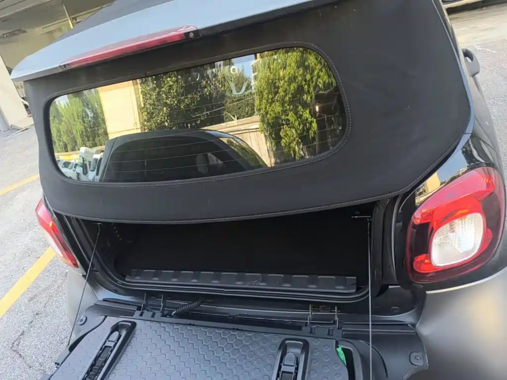 smart Smart Fortwo — миниатюра 19