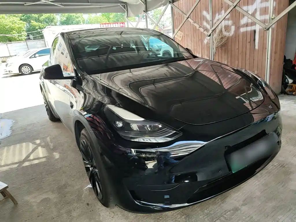 Tesla Model Y — миниатюра 4