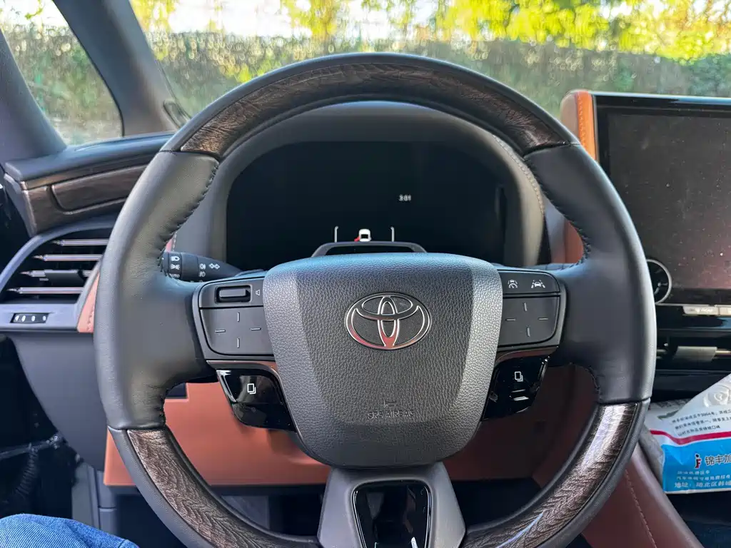 Toyota Alphard — миниатюра 13