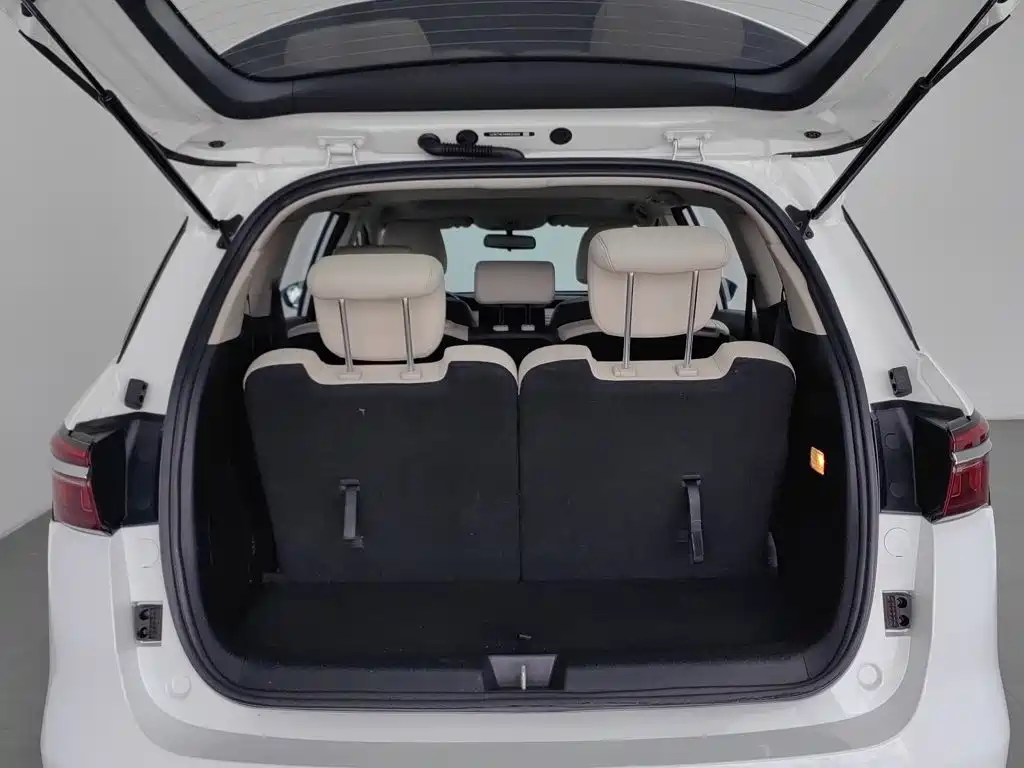 BYD MAX New Energy — миниатюра 16